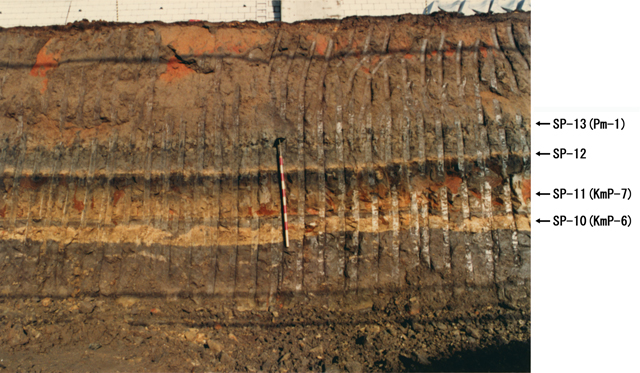 T197