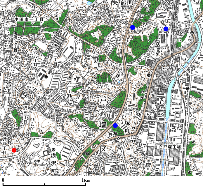 ���l�s�˒ˋ拂��̒n�_