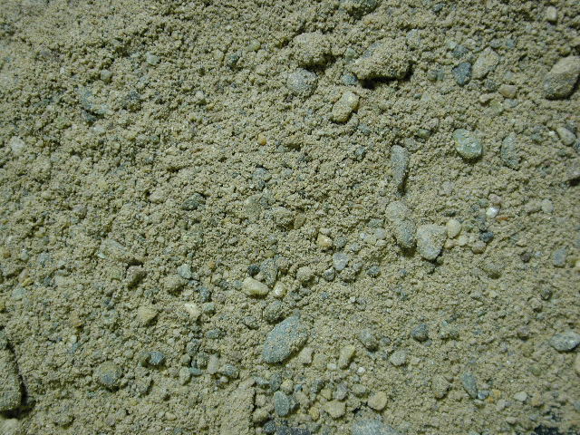 砂の自然史