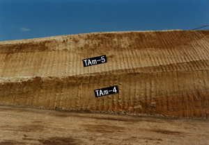 TAm-5(Tu-8,�E���o�~,�y����)�I���ʐ^