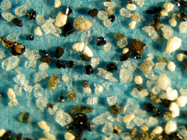 TAm-5(Tu-8,�E���o�~,�y����)�ڎʊg��ʐ^