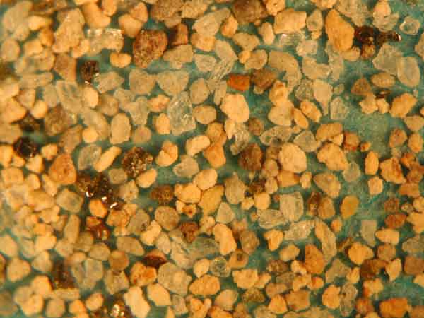 (6)Hk-KlP7�iV�j-6�ڎʊg��ʐ^