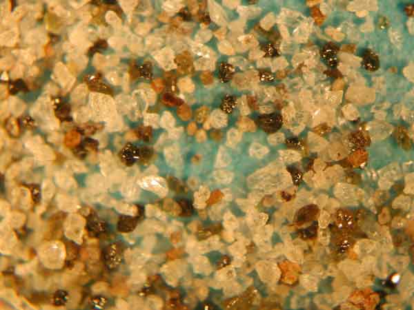 (5)Hk-KlP7�iV�j-5�ڎʊg��ʐ^