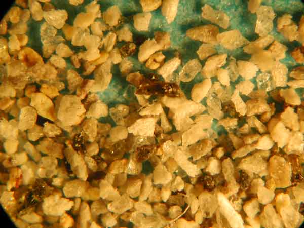 (2)KlP-7-2�ڎʊg��ʐ^