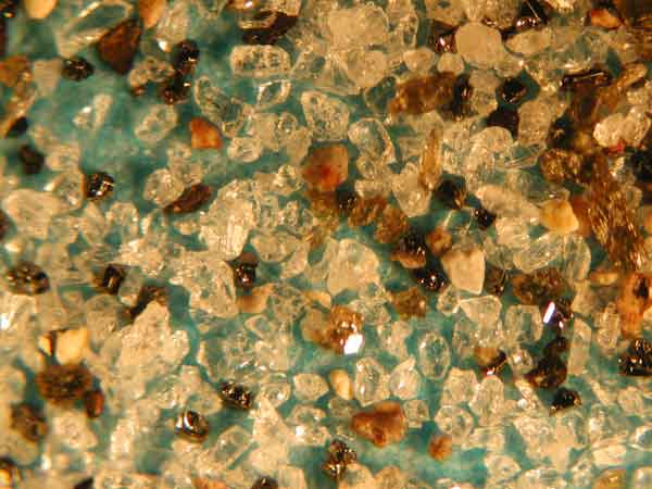 TAm-1(Tu-1,�A����,�y����)�y�Ώ㕔�ڎʊg��ʐ^