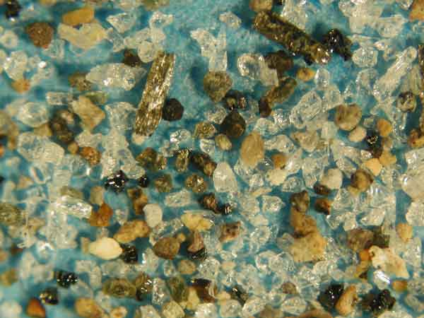 TAm-1(Tu-1,�A����,�y����)�y�Ή����ڎʊg��ʐ^