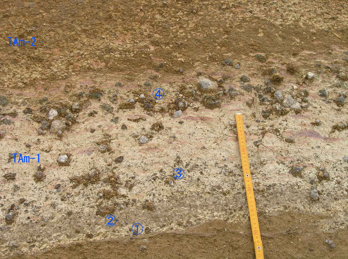 TAm-1(Tu-1,�A����,�y����)