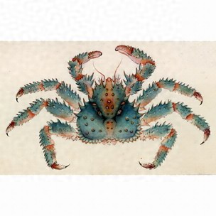 細密画からカニを探す