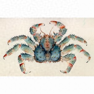 細密画からカニを探す