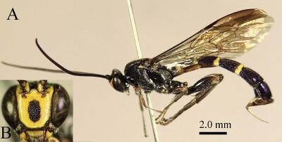 KPM-NK100571.jpg