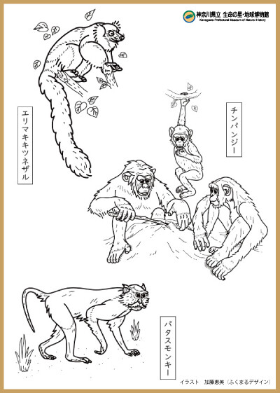 monkey_nurie2025.jpg