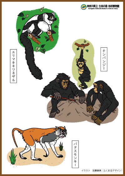 monkey_nurie_mihon2025.jpg