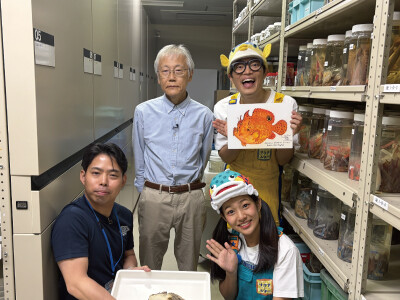 nhk_sakana_star.jpg