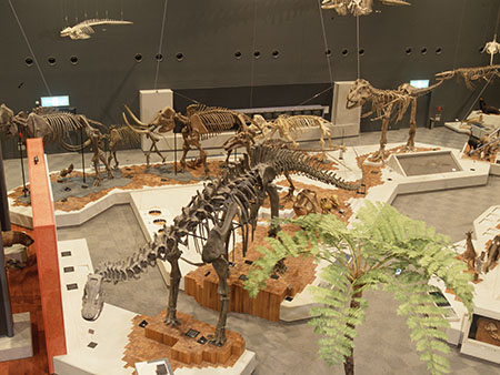 恐竜の世界展示の画像