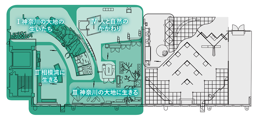 神奈川の自然を考える展示室３階の画像