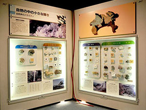 神奈川の鉱物展示