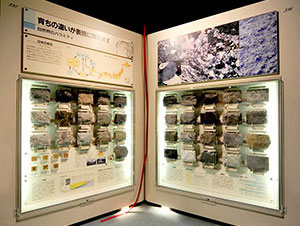 日本の岩石展示