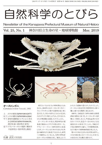 自然科学のとびら Vol.25,No.1　表紙