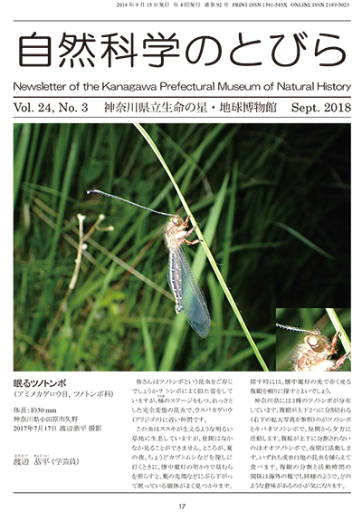 自然科学のとびら Vol.24,No.3　表紙