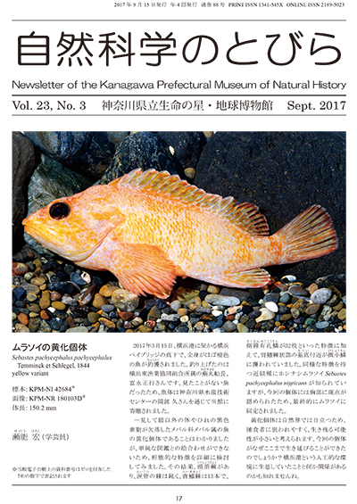 自然科学のとびら Vol.23,No.3　表紙