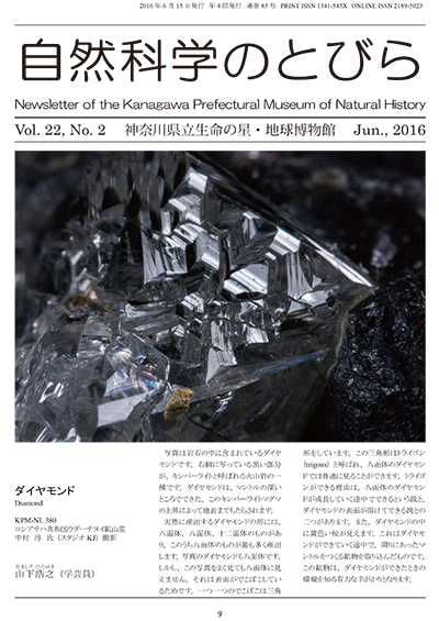 自然科学のとびら Vol.22, No.2　表紙