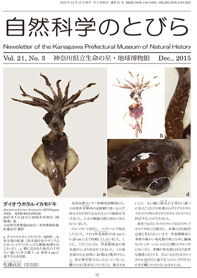 自然科学のとびら Vol.21,No.3　表紙