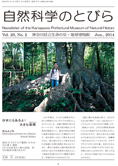 自然科学のとびら Vol.20,No.2　表紙