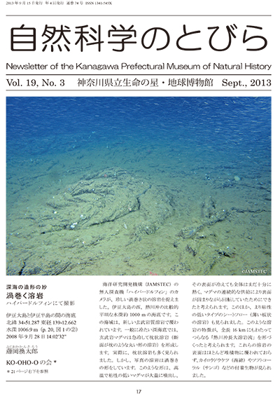 自然科学のとびら Vol.19,No.3　表紙