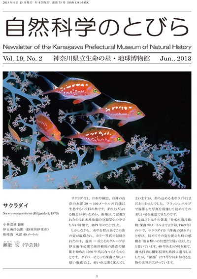 自然科学のとびら Vol.19,No.2　表紙