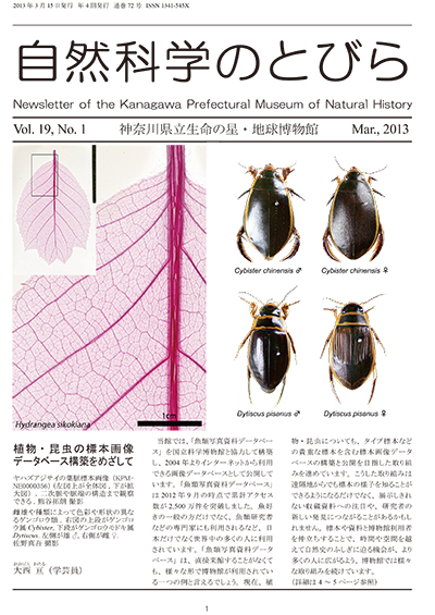 自然科学のとびら Vol.19,No.1　表紙