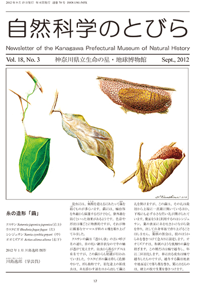 自然科学のとびら Vol.18,No.3　表紙