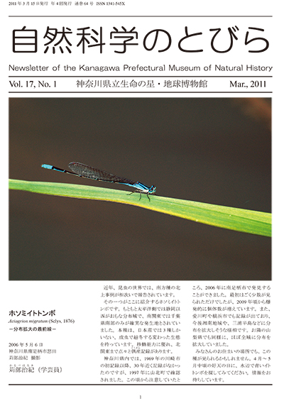 自然科学のとびら Vol.17,No.1　表紙