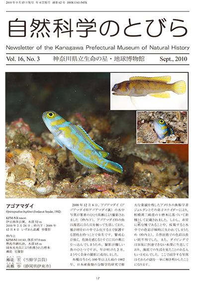 自然科学のとびら Vol.16,No.3　表紙