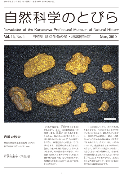 自然科学のとびら Vol.16,No.1　表紙