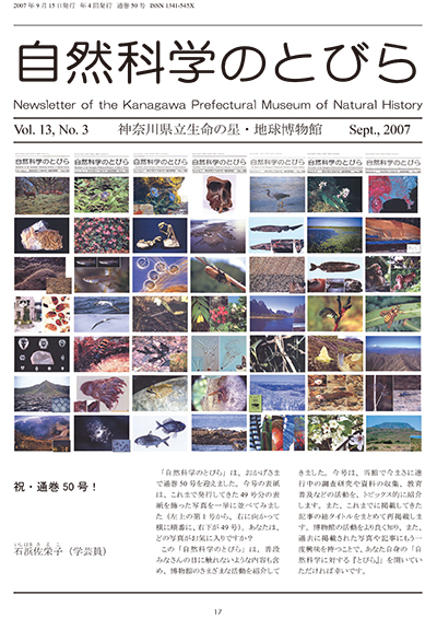 自然科学のとびら Vol.13 No.3　表紙