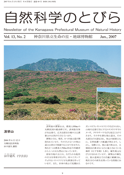 自然科学のとびら Vol.13,No.2　表紙