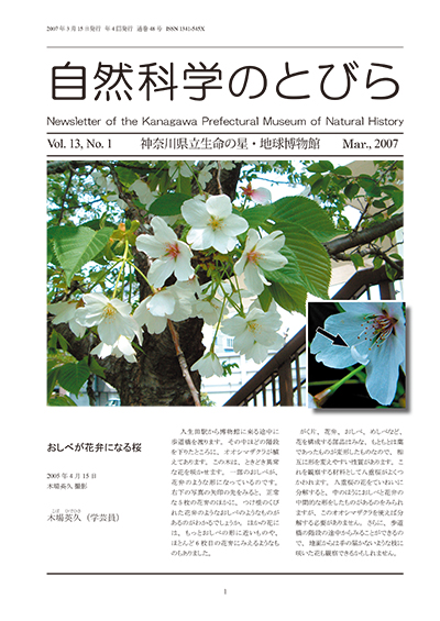 自然科学のとびら Vol.13 No.1　表紙
