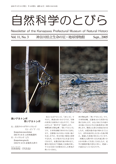 自然科学のとびら Vol.11 No.3　表紙