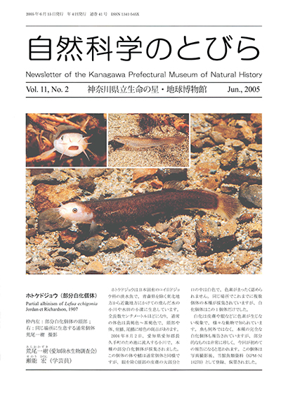 自然科学のとびら Vol.11 No.2　表紙