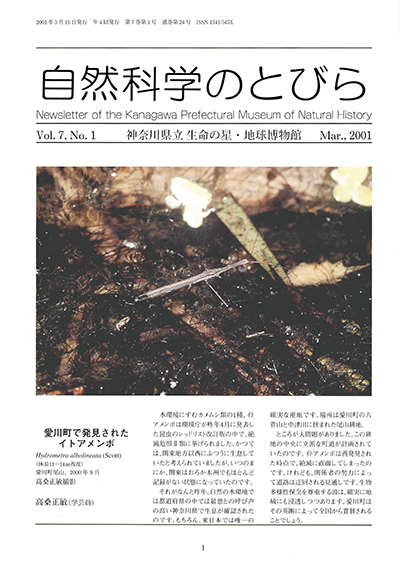 自然科学のとびら Vol.7,No.1　表紙
