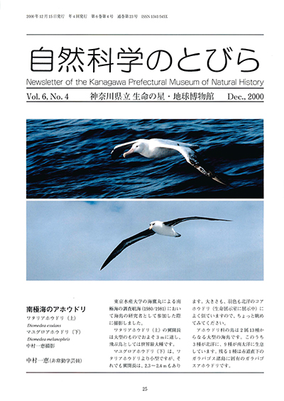自然科学のとびら Vol.6,No.4　表紙