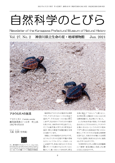 自然科学のとびら Vol.27,No.2　表紙