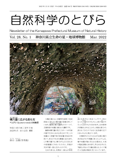 自然科学のとびら Vol.27,No.4　表紙