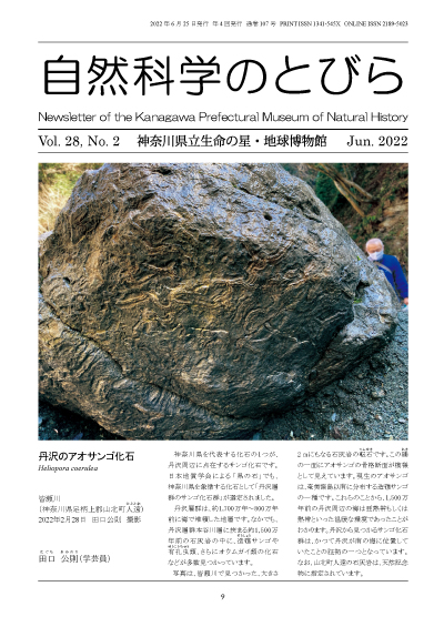 自然科学のとびら Vol.28,No.2　表紙