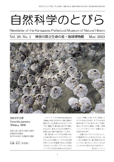 自然科学のとびら Vol.29,No.1　表紙