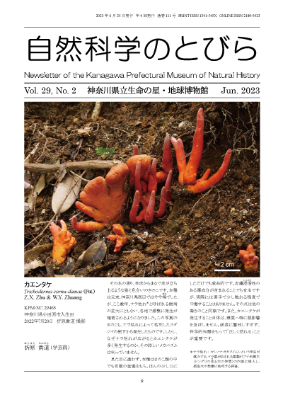 自然科学のとびら Vol.29,No.2　表紙