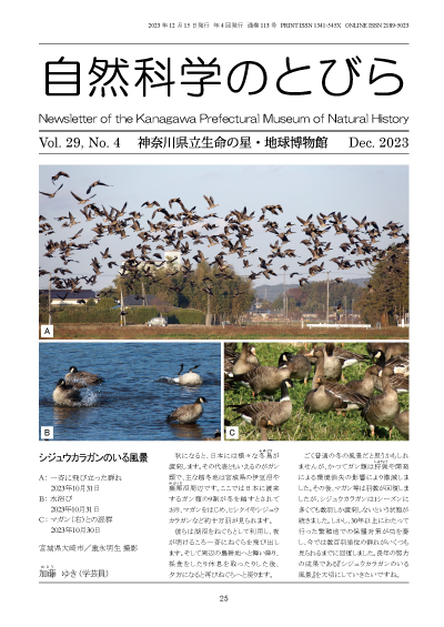 自然科学のとびら Vol.29,No.4　表紙