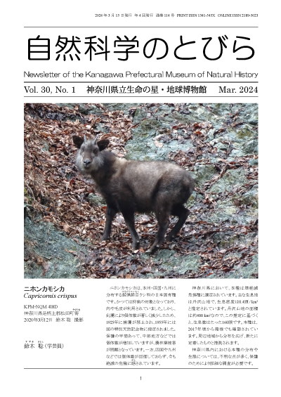 自然科学のとびら Vol.30,No.1　表紙